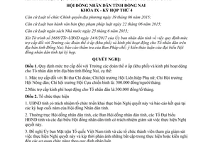 Nghị quyết 78/2017/NQ-HĐND trợ cấp Trưởng các đoàn thể ở ấp kinh phí Tổ nhân dân Đồng Nai