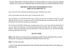 Nghị quyết 96/2017/NQ-HĐND hoạt động Ban Chỉ đạo chống buôn lậu gian lận thương mại Đà Nẵng