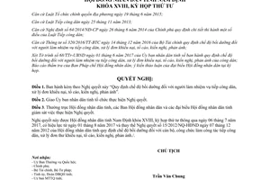 Nghị quyết 44/2017/NQ-HĐND bồi dưỡng người tiếp công dân xử lý đơn khiếu nại tố cáo Nam Định