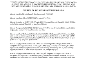 Quyết định 1282/QĐ-UBND 2017 Kế hoạch lựa chọn nhà thầu bảo vệ rừng xã Bình Thuận Quảng Ngãi