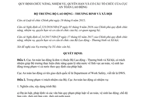 Quyết định 1128/QĐ-LĐTBXH 2017 chức năng nhiệm vụ quyền hạn cơ cấu Cục An toàn lao động