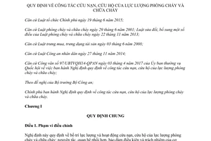 Nghị định 83/2017/NĐ-CP công tác cứu nạn cứu hộ của lực lượng phòng chữa cháy