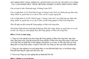 Quyết định 28/2017/QĐ-TTg quy định chức năng quyền hạn cơ cấu tổ chức Tổng cục Lâm nghiệp