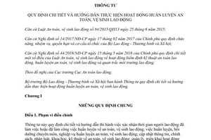 Thông tư 19/2017/TT-BLĐTBXH hướng dẫn thực hiện hoạt động huấn luyện an toàn vệ sinh lao động