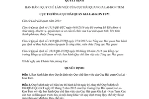 Quyết định 211/QĐ-HQGLKT 2017 Quy chế làm việc của Cục Hải quan Gia Lai Kon Tum Gia Lai