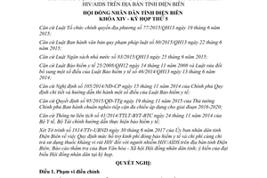 Nghị quyết 68/2017/NQ-HĐND hỗ trợ kinh phí bảo hiểm y tế thuốc kháng vi rút HIV Điện Biên