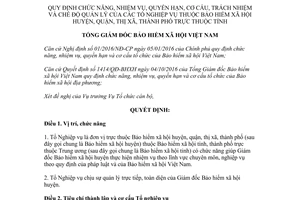 Quyết định 1306/QĐ-BHXH 2017 chế độ quản lý Tổ Nghiệp vụ thuộc Bảo hiểm xã hội huyện quận