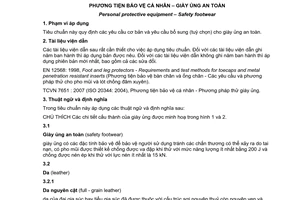 Tiêu chuẩn quốc gia TCVN 7652:2007 (ISO 20345 : 2004) về Phương tiện bảo vệ cá nhân - Giày ủng an toàn