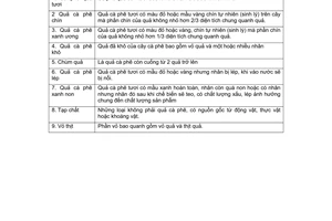 Tiêu chuẩn ngành 10 TCN 97:1988 về cà phê quả tươi - Thuật ngữ và định nghĩa