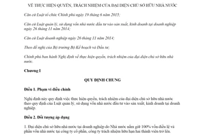 Nghị định 10/2019/NĐ-CP thực hiện quyền trách nhiệm của cơ quan đại diện chủ sở hữu nhà nước