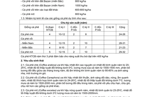 Tiêu chuẩn ngành 10TCN 84:1987 về quy trình kỹ thuật trồng cà phê