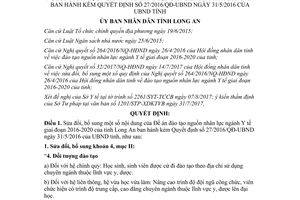 Quyết định 41/2017/QĐ-UBND sửa đổi 27/2016/QĐ-UBND đào tạo nguồn nhân lực Y tế Long An