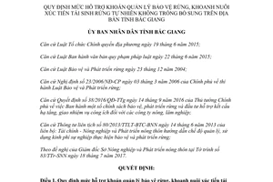 Quyết định 29/2017/QĐ-UBND quản lý bảo vệ khoanh nuôi xúc tiến tái sinh rừng tự nhiên Bắc Giang