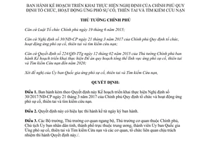 Quyết định 1304/QĐ-TTg 2017 tổ chức hoạt động ứng phó sự cố thiên tai tìm kiếm cứu nạn