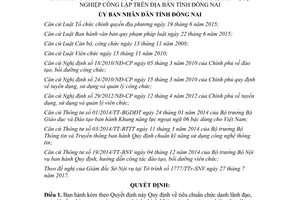 Quyết định 29/2017/QĐ-UBND tiêu chuẩn chức danh lãnh đạo quản lý cấp phòng Đồng Nai