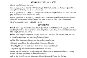 Quyết định 1344/QĐ-KTNN 2017  phân công nhiệm vụ công tác lãnh đạo Kiểm toán Nhà nước