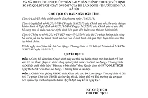 Quyết định 2906/QĐ-UBND 2017 công bố thủ tục hành chính lĩnh vực trẻ em Bình Định