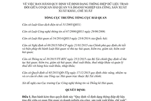 Quyết định 2228/QĐ-TCHQ 2017 định dạng thông điệp dữ liệu trao đổi giữa Hải quan doanh nghiệp