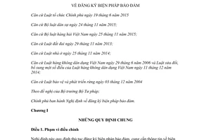 Decree 102/2017/ND-CP on registration of security interests