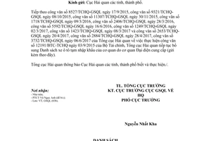 Công văn 6115/TCHQ-QSQL 2017 thực hiện công văn 12191/BTC-TCHQ