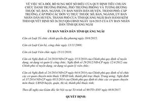 Quyết định 61/2017/QĐ-UBND sửa đổi tiêu chuẩn chức danh Trưởng Phó trưởng phòng Quảng Ngãi