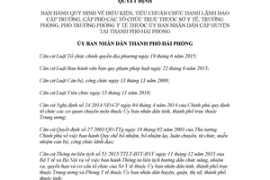 Quyết định 23/2017/QĐ-UBND tiêu chuẩn chức danh lãnh đạo tổ chức trực thuộc Sở Y tế Hải Phòng