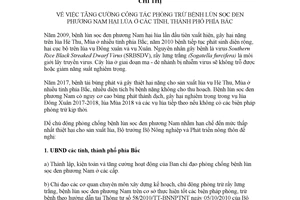 Chỉ thị 9556/CT-BNN-BVTV 2017 công tác phòng trừ bệnh lùn sọc đen phương Nam hại lúa