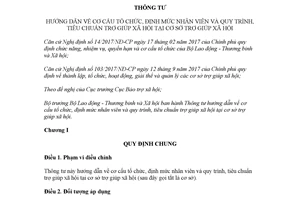 Thông tư 33/2017/TT-BLĐTBXH hướng dẫn quy trình trợ giúp xã hội tại cơ sở trợ giúp xã hội