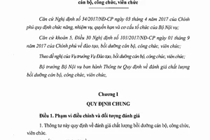 Thông tư 10/2017/TT-BNV quy định đánh giá chất lượng bồi dưỡng cán bộ công chức viên chức