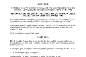 Quyết định 45/QĐ-BCĐKPMHH 2018 thành lập Cơ quan Thường trực Ban Chỉ đạo khắc phục bom mìn