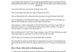 Thông tư 13/2018/TT-BTC sử dụng kinh phí ngân sách nhà nước cho công tác điều ước quốc tế