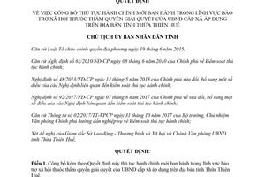 Quyết định 510/QĐ-UBND 2018 thủ tục hành chính mới bảo trợ xã hội thẩm quyền Ủy ban Huế