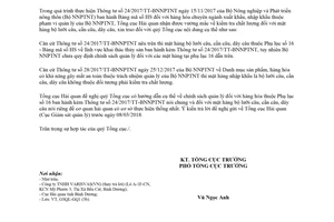 Công văn 1173/TCHQ-GSQL 2018 kiểm tra chất lượng mặt hàng bộ lưỡi câu cần câu dây câu