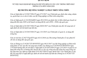 Quyết định 586/QĐ-BNN-TT 2018 Kế hoạch chuyển đổi cơ cấu cây trồng trên đất trồng lúa
