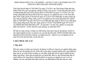 Kế hoạch 381/KH-UBND 2018 triển khai công tác cai nghiện quản lý sau cai nghiện ma túy Điện Biên