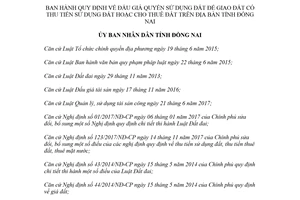 Quyết định 16/2018/QĐ-UBND đấu giá quyền sử dụng đất để giao đất Đồng Nai