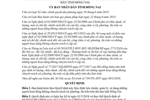 Quyết định 22/2018/QĐ-UBND tiêu chuẩn người hoạt động không chuyên trách cấp xã Đồng Nai