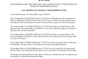 Quyết định 372/QĐ-HQĐNg 2018 Quy chế trực ban giám sát trực tuyến Đà Nẵng