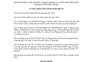 Quyết định 31/2018/QĐ-UBND tổ chức hoạt động Thôn Khu phố Ninh Thuận