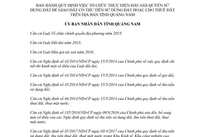 Quyết định 04/2018/QĐ-UBND đấu giá quyền sử dụng đất để giao đất cho thuê đất Quảng Nam
