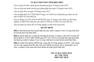 Quyết định 29/2018/QĐ-UBND quy định về phạm vi bảo vệ công trình thuỷ lợi trên Điện Biên
