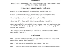 Quyết định 39/2018/QĐ-UBND chính sách hỗ trợ doanh nghiệp nhỏ và vừa Huế