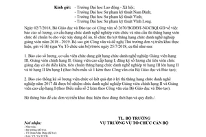 Công văn 2905/LĐTBXH-TCCB 2018 báo cáo số lượng cơ cấu chức danh nghề nghiệp viên chức