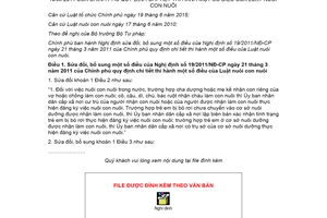 Nghị định 24/2019/NĐ-CP sửa đổi Nghị định 19/2011/NĐ-CP hướng dẫn Luật nuôi con nuôi