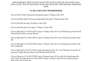 Quyết định 43/2018/QĐ-UBND đấu giá quyền sử dụng đất để Nhà nước giao đất Bình Định