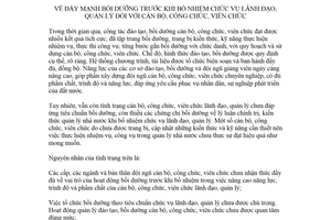 Chỉ thị 28/CT-TTg 2018 đẩy mạnh bồi dưỡng trước khi bổ nhiệm chức vụ lãnh đạo quản lý