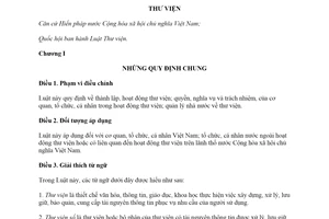 Luật Thư viện 2019