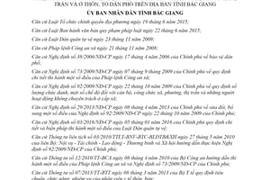 Quyết định 03/2019/QĐ-UBND kiêm nhiệm người hoạt động không chuyên trách xã phường Bắc Giang