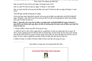 Nghị định 33/2020/NĐ-CP sửa đổi Nghị định 62/2015/NĐ-CP hướng dẫn Luật Thi hành án dân sự