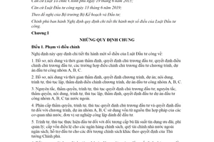 Nghị định 40/2020/NĐ-CP hướng dẫn Luật Đầu tư công